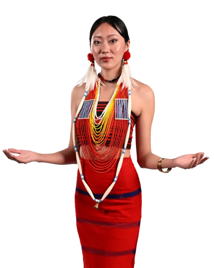 Woman in traditional attire from Nagaland